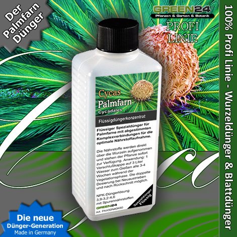 Palmfarn Dünger Cycas düngen, Premium Flüssigdünger aus der Profi Linie