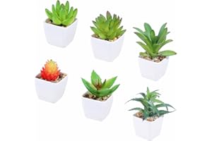Tifuly 6 pezzi piante succulente in vaso artificiali, piante grasse realistiche piccole piante verdi finte con vaso in melamina per la decorazione della scuola del Ministero degli Interni (set 4)