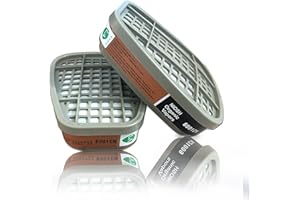 FACEMOON 6001 Filter Cartridges Replacement for Gas Respirator, 2pcs Filter Cartridges + 2pcs Filter Covers+10pcs Filter Cottons, Apply to 6100/6200/7501/7502/6502/6800