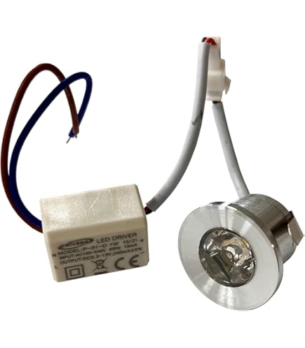 VITELLO Translation In English | Italian-English | Reverso - Foto 9