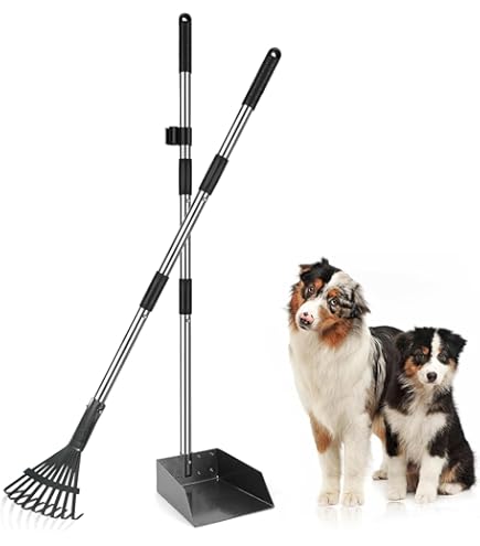 Paletta Per Escrementi Di Galline - Raccogli Escrementi Per Galline