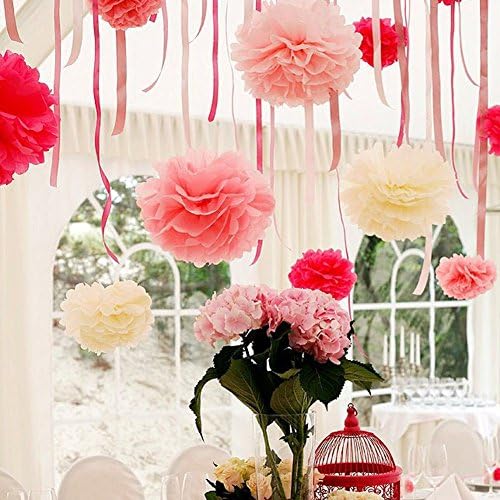 Cowboycool Set of 5 Tissue Pom Poms Hanging Paper Flower Balls Blossom for Wedding Party Bridal Shower Nursery Decoration