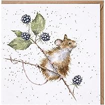 Wrendale Designs Clocks & Homeware | Harts Of Stur