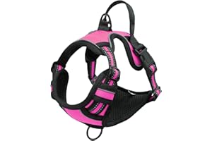 Bihotzak Arnes Perro Pequeño Mediano Grande sin Tirones Accesorios para Perros Ajustable Transpirable Reflectante con Cierres de Seguridad (Rosa, L)