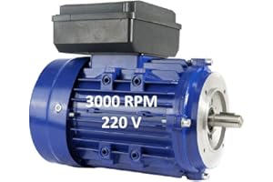 Alren Moteur électrique monophasé par bride B14 de 120 mm Couple de démarrage élevé Taille 80 Axe de 19 mm 1,1 kW/1,5 CV 220 V 3000 tr/min