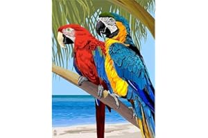 YSCOLOR Peinture Par Numéro Pour Adultes Perroquet Animal Oiseau Bricolage Toile Kits De Peinture À L'Huile Débutant Maison Décoration Murale Cadeaux 40X50cm