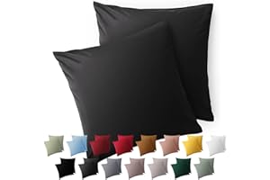 Blumtal Taie Oreiller 60x60 Lot de 2 - Housse de Coussin Microfibre - Taies d'oreillers avec Fermeture enveloppe, certifiée Oeko-Tex, Extra Douce et Lavable - Anthracite
