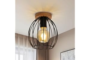 COMELY Plafonnier Industriel, Métal Lampe de Plafond Vintage, Rétro Noir Cage Plafonnier E27, Luminaire Plafonnier pour Chambre à Coucher, Salon, Cuisine, Couloir, Entrée, 20CM