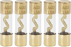X AUTOHAUX 5 Stücke 15A AGU Sicherungen Feinsicherung Glassicherung Glasrohrsicherung KFZ Sicherung Schnelle Glas Sicherung Kit
