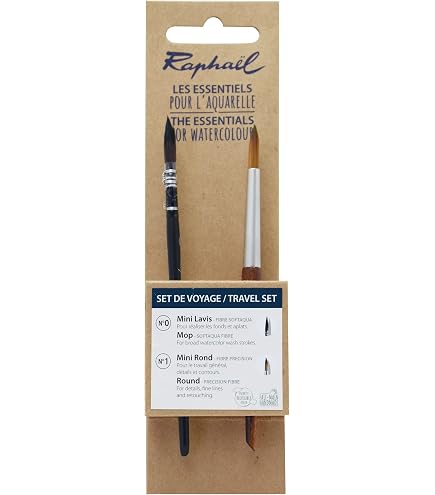 pinceaux raphael fibre synthétique PLAT P8030-14 disponible chez Shop