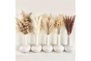 LUTAKU 110 PCS Dried Pampas Grass Bouquet, Boho Table Decor, Bunny Tails Dried Flowers, Brown Pompas, White Pampas Grass for Home, Rustic Party, Baby Shower Decorations (110)