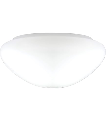 PATIKIL Abat-jour Diffuseur, 14,5" Diamètre Avec 3/8" Centre