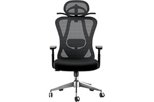 rattantree Office Desk Chair, Ergonomic Office Chair with 2D Lumbar Support and 3D Armrest & 3D Headrest, Computer Chair with Hanger for Home Office, Mesh Swivel Gaming Chair-Black