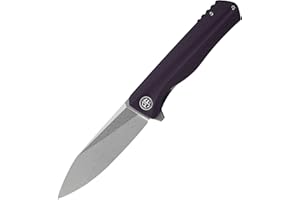 Petrified fish PF818 Coltello Pieghevole Tascabile 3.54" D2 Lama in Acciaio G10 Maniglia con Clip per Outdoor Fishing Camping Knife (Purple Stonewashed)