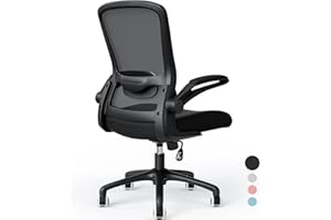 Farini Office Chair Flip-up Armrest Desk Chair Lumbar Support Lift-up Armrest Work Chair,Pure Black