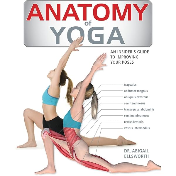 Anatomy of Yoga (The Anatomy Series): Amazon.co.uk: Ellsworth. Dr