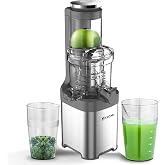 Yasomi FruitForce 8 Segment 180W Fruit and Vegetable Juicer (gray)