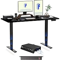FLEXISPOT E6 MAX 140x80 Electric Standing Desk with USB Dual