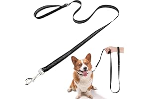 Kzouenzu Guinzaglio Per Cani, 2m X 2.5cm, Guinzaglio Per Cani Addestramento, Resistente Leggero Con Fibbia Lega Zinco, Per Seguono Obbedienza [Nero]