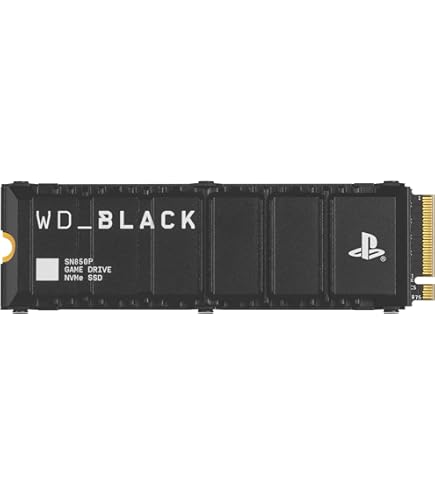 WD_Black SN8100 1 TB PCIe 5.0x4 NVMe M.2 SSD with Heatsink