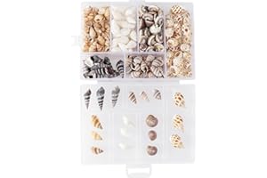 CPRNQY 100 Stück Muscheln Deko,Muscheln Natürliche Muscheln Zum Basteln Mit Aufbewahrungsbox Deko Muscheln Basteln für Bastelprodukt Diy Craft Fishbowl Meer Deko,Party Hochzeitsdeko Aquarium Vasenfüller