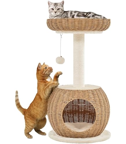 Albero Tiragraffi Per Gatti PawHut Con Cuccia A U, Lettino E Tappetino Sisal - Divertimento E Relax Per Il Tuo Micio