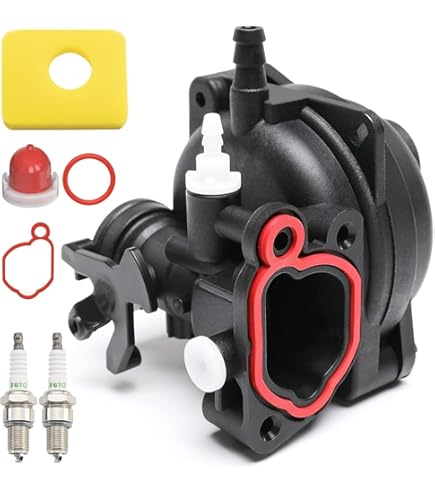 Allecto Plus - Grasmaaier Carburateur Compatibel Met Briggs And Stratton 300E 450E