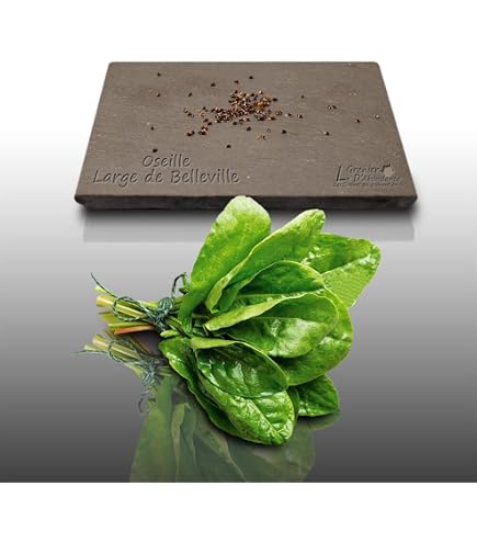 Graines Ache Des Montagnes - Levisticum Officinale - 50 Graines Aromatiques - Le Grenier D'Abondance
