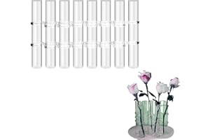 LIKEUDO Hinged Flower Test Tube Vase - Glass Tube Transparent Hydroponic Terrarium for Flowers(8 Tubes Same height)
