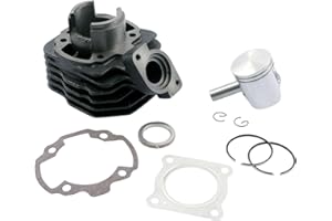 2EXTREME Zylinder Kit 50ccm für Buxy 50cc, Elyseo, Elystar, Looxor, Speedake, Speedfight 1, 2, Squab