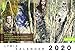 Lyrik-Kalender 2020 by 