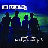 Anthems For Doomed Youth [VINYL]