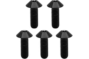 RISON-Titanium 5 Pezzi Bulloni in Titanio M5x0.8x10mm, Bulloni a Brugola Testa a Cupola con Esagono Incassato, Viti a Testa Cilindrica, Ferramenta Elementi di Fissaggio per Bicicletta, Moto
