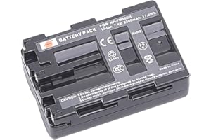 DSTE ELECTRON Batterie de rechange DSTE NP-FM500H compatible avec Sony A57 A58 A65 A77 A100 A200 A300 A350 A450 A500 A550 A560 A580 A700 A850 A900