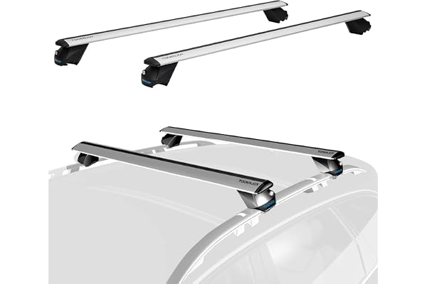 COWVIE Barres transversales universelles Professionnelles de 138 cm avec serrures à clé, entièrement assemblées, pour Rails surélevés, Argenté