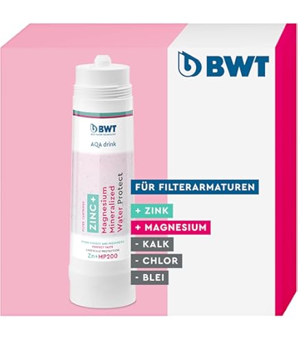 BWT Besthead FLEX Filterkop met 3/8 aansluitingen
