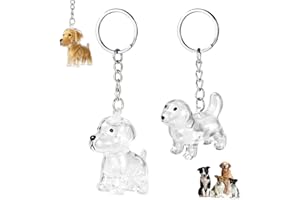 Sinbana 2pcs Dog Hair Keychain, Transparent Plastic Dog Hair Charm Collector Keychain Cute Pet Fur Keepsake Memory Storage Keyring Memorial Gifts for Purse Bag Pet Owners