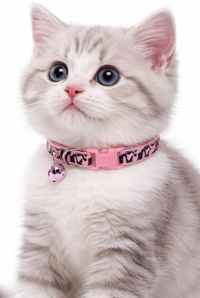 KEDİ BOYUN TASMASI ZİLLİ VE AYARLANABİLİR ALACA DESENLİ