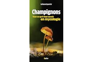 Champignons, tout ce qu'il faut savoir en mycologie