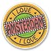 Produktbild DestinationVinyl 2 x 10cm/100mm Amsterdam Vinyl Selbstklebende Sticker Aufkleber Laptop Reisen Gepäckwagen Cool Zeichen Spaß #5705