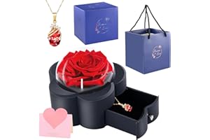 MINCHEDA Regalos Navidad Mujer, Rosa Eterna con Collar, Flores Preservadas Caja, Regalo para San Valentín, día de la Madre, Aniversario, Cumpleaños para Ella/Esposa/Novia/Mujer