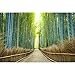 Pitaara Box Kyoto Japan Bamboo Forest - MEDIUM Size 21.0 inch x 14.0 inch - FRAMED CANVAS Wall Paintings with 6mm (0.24 inch) THICK MDF MOUNTING FRAME : DIGITAL PRINT Wall Posters Art Panel like Hand Paintings : Home Interior Wall Décor Photo Gifts & Decorative Paintings for Bedroom, Living Room, Drawing, Dining Room, Kitchen, Office, Reception, Bathroom, Outdoor, Gallery, Hotels, Restaurants, & Balcony : Places : Photography RS.709.00