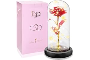 SOGYUPK Rose im Glas, Ewige Rose im Glas mit LED-Licht,Die Schöne und das Biest, Künstliche Blumenrose Romantische Geschenke für Mama, Oma, Frauen, Freundin, Valentinstag, Geburtstag(Rote)
