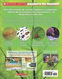 Image de Scholastic Explora Tu Mundo: Insectos y Otras Criaturas: (Spanish Language Edition of Scholastic Discover More: Bugs) (Scholastic Explora Tu Mundo / S