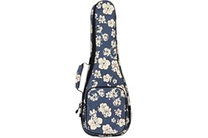 LOVIVER Travel Ukelele Carry Case, Professional Ukelele Concert Gig Bags, Musical Sheet Case with Adjustable Straps, Ukelele Backpack Nylon Shoulder Bag, 23inch Blue