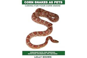 Corn Snakes as Pets: Corn Snake facts, care, breeding, nutritional information, tips, and more! Caring For Your Corn Snake