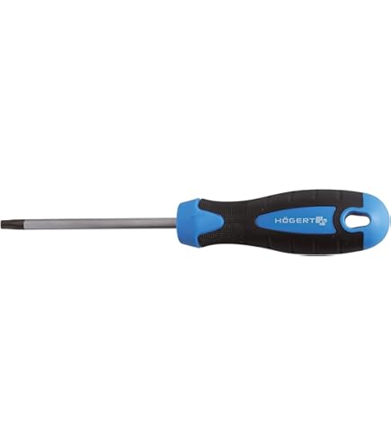 BT Tools schroevendraaier TORX T40 x 100 mm