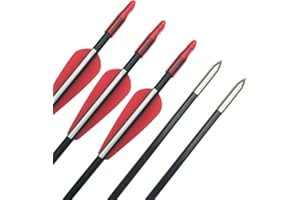 SHARROW Archery Fiberglass Arrows 31inch Spine 900 Hunting Target Arrows for Recurve Bow Traditional Longbow