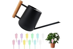 EKOCEV Giesskanne 1L Edelstahl Schwarz Gießkanne für Zimmerpflanzen, Vintage Blumengießkanne mit Langer Auslauf und Komfortgriff für Sukkulenten Zimmerpflanzen und Topfblumentopf