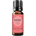 Edens Garden Rosemary "Around The World" Essential Oil, 100% Pure Therapeutic Grade (Undiluted Natural/Homeopathic Aromatherapy Scented Essential Oil Singles) 10 ml